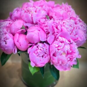 Peonies Uninhibited — New York, NY — Rosa Rosa