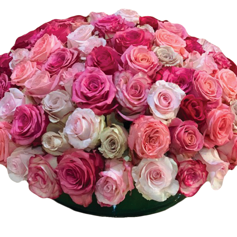 Bed of Roses