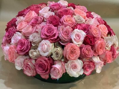 Bed of Roses
