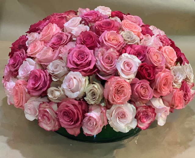 Bed of Roses