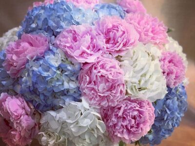 Cotton Candy