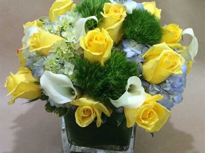 Freshness