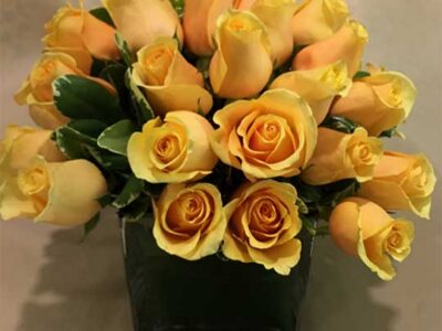 Roses in the Small Square