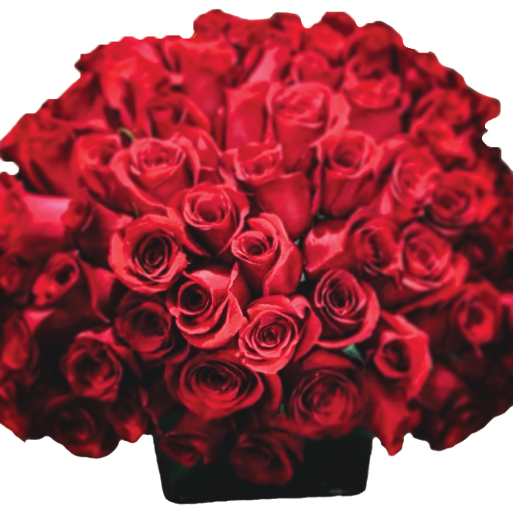 The Rose Cube
