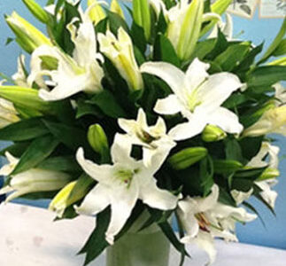 Lilies